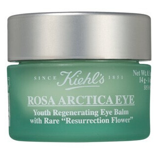 Rosa Arctica